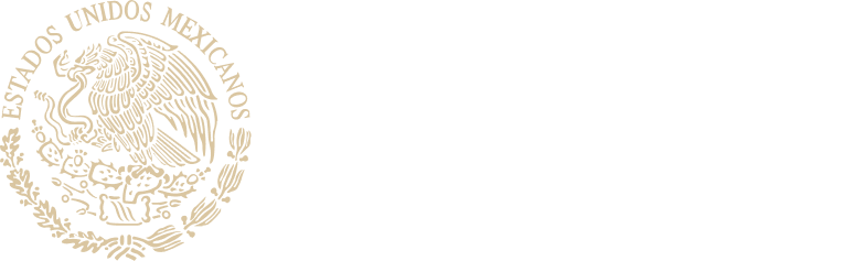 gob.mx